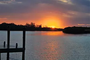 109 Carmelina St, Ruskin, FL 33570 - Photo 71