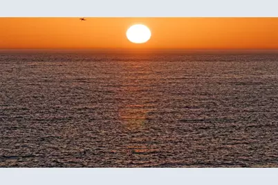 161 Brightwater Drive #8, Clearwater Beach, FL 33767 - Photo 59