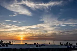 3210 Mangrove Point Dr, Ruskin, FL 33570 - Photo 47