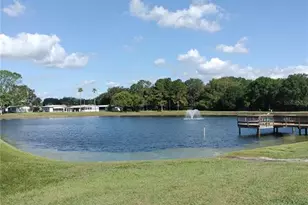 3114 Briar St St, Wesley Chapel, FL 33543 - Photo 41