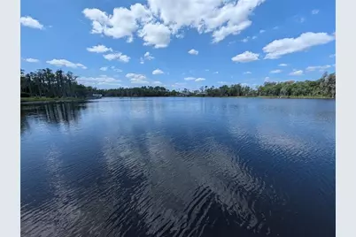 18302 Hanna Road, Lutz, FL 33549 - Photo 11