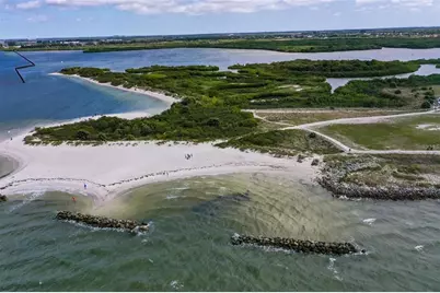 6407 Mayra Shores Lane, Apollo Beach, FL 33572 - Photo 49