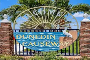 362 Coquina Dr, Tarpon Springs, FL 34689 - Photo 79