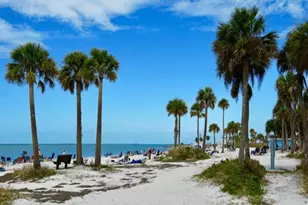 362 Coquina Dr, Tarpon Springs, FL 34689 - Photo 65