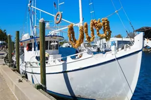 362 Coquina Dr, Tarpon Springs, FL 34689 - Photo 69