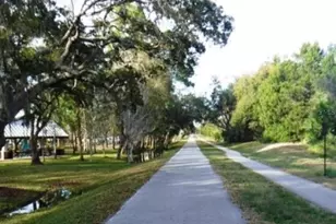 362 Coquina Dr, Tarpon Springs, FL 34689 - Photo 75