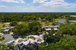 4207 Fairway Run, Tampa, FL 33618 - Photo 47