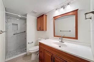 110 W Cypress Ct, Oldsmar, FL 34677 - Photo 29