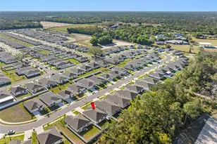 1312 Peach Crk Dr, Osteen, FL 32764 - Photo 9