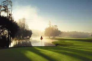 36750 US 19 N, Palm Harbor, FL 34684 - Photo 77