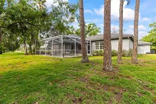 1003 Berkshire Ln, Tarpon Springs, FL 34688 - Photo 31