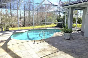 1003 Berkshire Ln, Tarpon Springs, FL 34688 - Photo 21