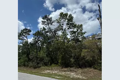 2185 Waterfall Drive, Spring Hill, FL 34608 - Photo 3