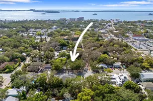 559 Scotland St, Dunedin, FL 34698 - Photo 63