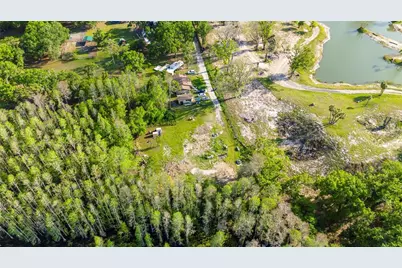 4436 Joy Drive, Land O Lakes, FL 34638 - Photo 7