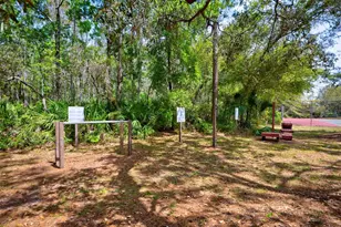 7333 Royal Oak Dr, Spring Hill, FL 34607 - Photo 91