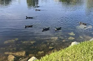 5557 Sea Forest Dr, New Port Richey, FL 34652 - Photo 45