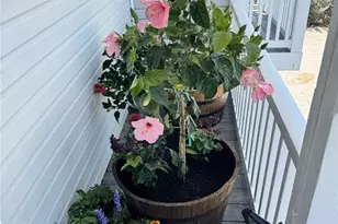 1659 Long Beach Dr, Big Pine Key, FL 33043 - Photo 49