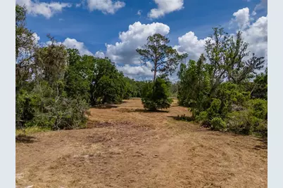 5106 Bell Shoals Road, Valrico, FL 33596 - Photo 9