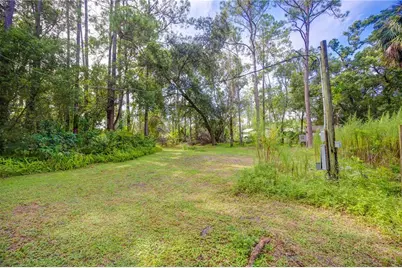 7408 Tom Drive, Land O Lakes, FL 34638 - Photo 7