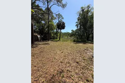 7408 Tom Drive, Land O Lakes, FL 34638 - Photo 1