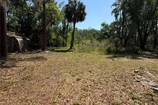 7408 Tom Dr, Land O Lakes, FL 34638 - Photo 1