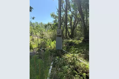 7408 Tom Drive, Land O Lakes, FL 34638 - Photo 7