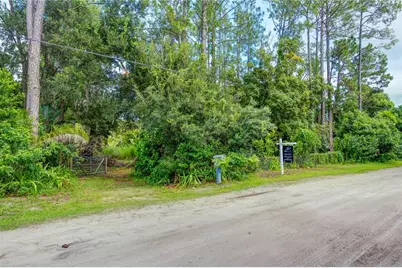7408 Tom Drive, Land O Lakes, FL 34638 - Photo 29