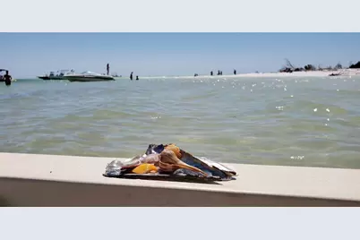 1500 Sunset Rd Bldg C #C7, Tarpon Springs, FL 34689 - Photo 79