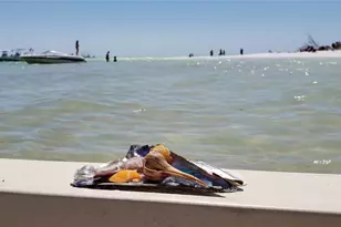 1500 Sunset Rd Bldg C, Tarpon Springs, FL 34689 - Photo 79