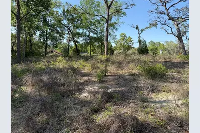 Indian Trail Road, Brooksville, FL 34613 - Photo 7