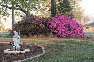 8921 S Thoroughbred Point, Inverness, FL 34452 - Photo 23