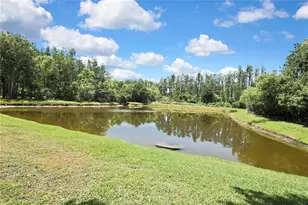 3243 Ashmonte Dr, Land O Lakes, FL 34638 - Photo 75