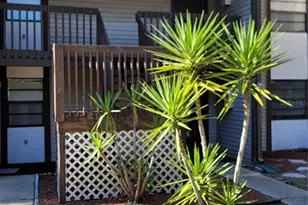 11411 Pike Ct, New Port Richey, FL 34654 - Photo 1