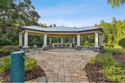 19325 Hawk Valley Drive, Tampa, FL 33647 - Photo 33