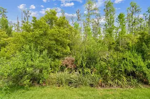 29356 Ginnetto Dr, Wesley Chapel, FL 33543 - Photo 53