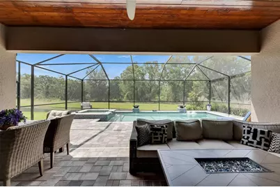14421 Swiss Bridge Drive, Lithia, FL 33547 - Photo 81