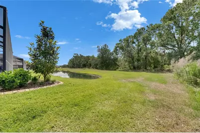 14421 Swiss Bridge Drive, Lithia, FL 33547 - Photo 93