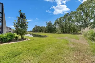 14421 Swiss Bridge Dr, Lithia, FL 33547 - Photo 93