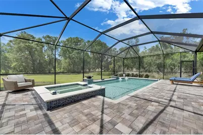 14421 Swiss Bridge Drive, Lithia, FL 33547 - Photo 85