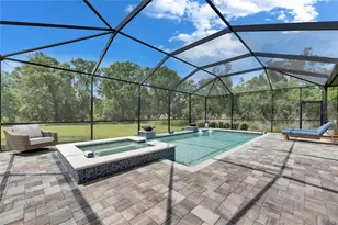 14421 Swiss Bridge Dr, Lithia, FL 33547 - Photo 85