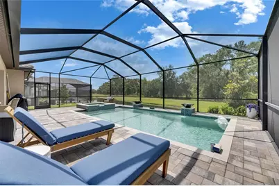 14421 Swiss Bridge Drive, Lithia, FL 33547 - Photo 89