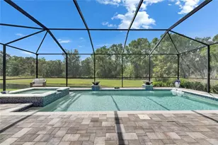 14421 Swiss Bridge Dr, Lithia, FL 33547 - Photo 91