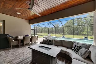 14421 Swiss Bridge Dr, Lithia, FL 33547 - Photo 85