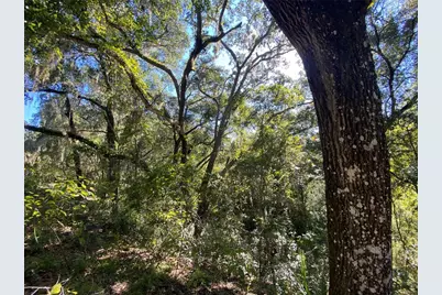 8701 S Fruition Avenue, Floral City, FL 34436 - Photo 41