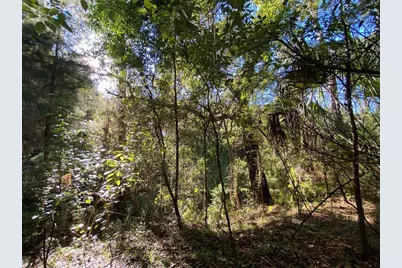 8701 S Fruition Avenue, Floral City, FL 34436 - Photo 15