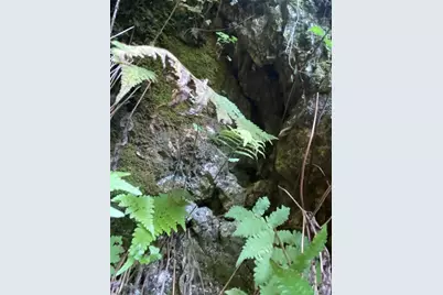 8701 S Fruition Avenue, Floral City, FL 34436 - Photo 29