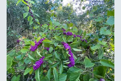 7373 E Savannah Court, Floral City, FL 34436 - Photo 29