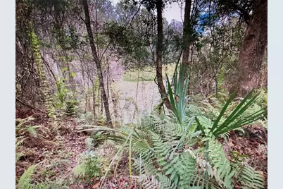 7373 E Savannah Court, Floral City, FL 34436 - Photo 9