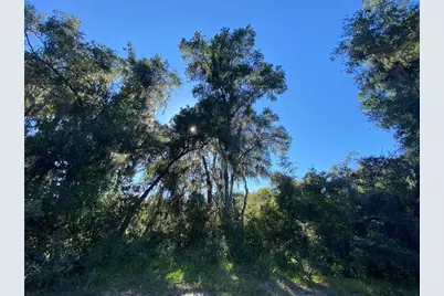 7373 E Savannah Court, Floral City, FL 34436 - Photo 33